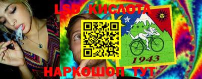 тгк Партизанск