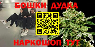 тгк Партизанск